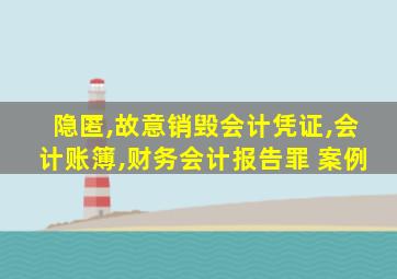 隐匿,故意销毁会计凭证,会计账簿,财务会计报告罪 案例